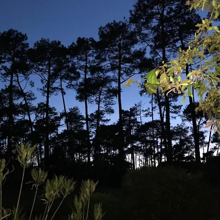 Lägenhet Duplex Atypique Proche Ocean Anglet