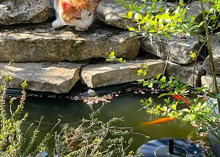 Duplex Atypique Proche Ocean Anglet