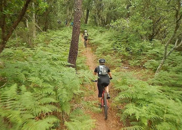 Lägenhet Duplex Atypique Proche Ocean Anglet
