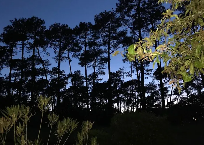 Lägenhet Duplex Atypique Proche Ocean Anglet