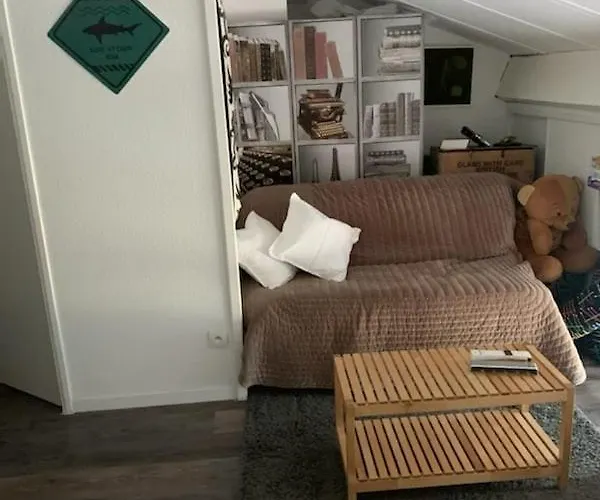 Lägenhet Duplex Atypique Proche Ocean